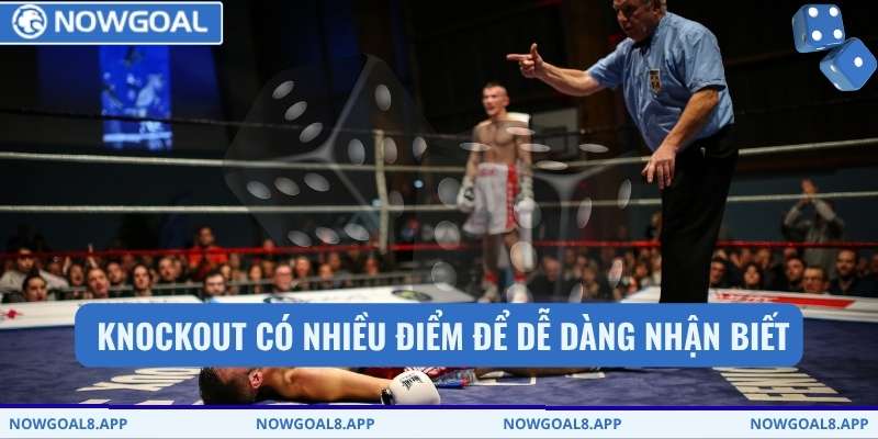  Knockout có nhiều điểm để dễ dàng nhận biết